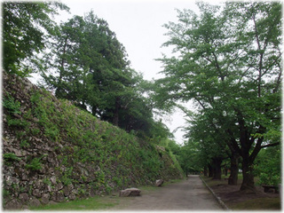 2010_0625HZ.jpg