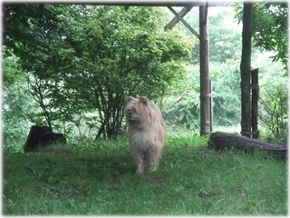 2010_0711BL.jpg