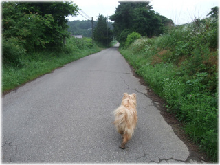 2010_0711BT.jpg