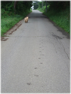 2010_0711CX.jpg