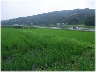 2010_0711II.jpg