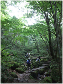 2010_0824DR.jpg