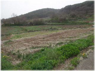 2011_05022AX2.jpg