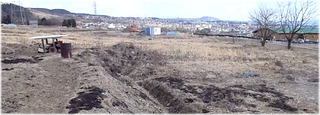 20120204.jpg