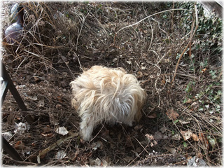20120304_0066_.jpg