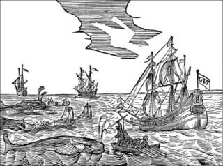 20120524.jpg