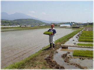 2012053101.jpg