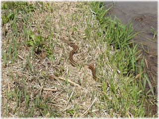2012053103.jpg