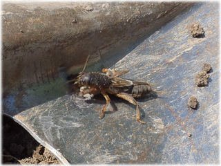 2012061401.jpg