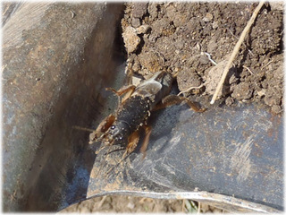 2012061402.jpg