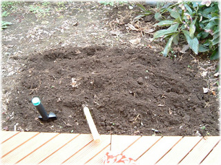 DSCF0008.jpg