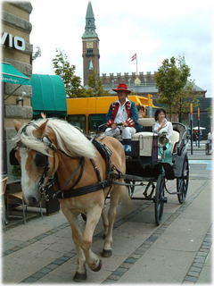 DSCF0091.jpg