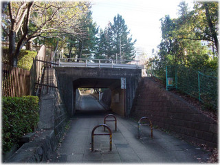 DSCF0139.jpg