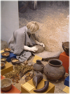 DSCF0188.jpg