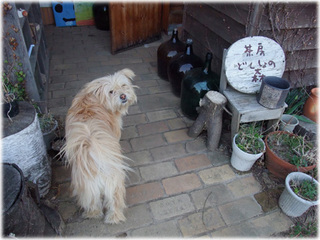 DSCF0305.jpg