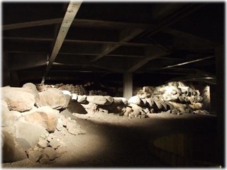 DSCF0577.jpg