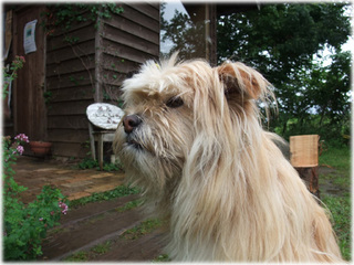 DSCF4735.jpg