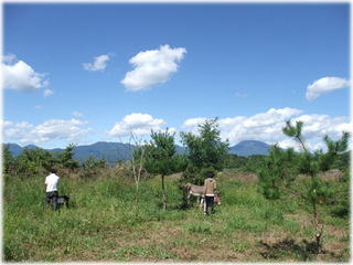 DSCF6983.jpg