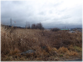 DSCF7960.jpg