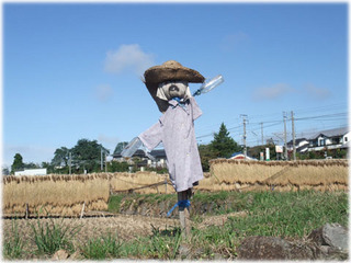 DSCF8240.jpg