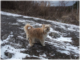 DSCF8268.jpg
