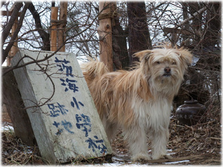 DSCF8342.jpg