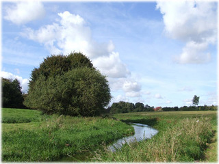 DSCF9444.jpg
