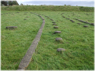 DSCF9720.jpg
