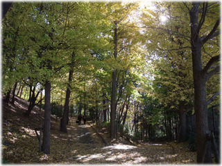 DSCF9790.jpg