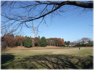 DSCF9960.jpg