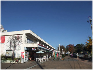 DSCF9982.jpg