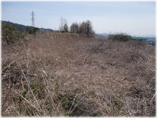 写真1.2009年4月の農地の様子.JPG