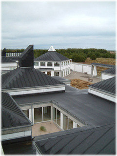 s019.jpg